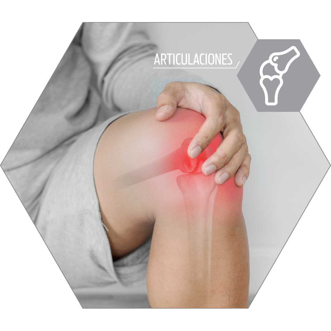 Articulaciones