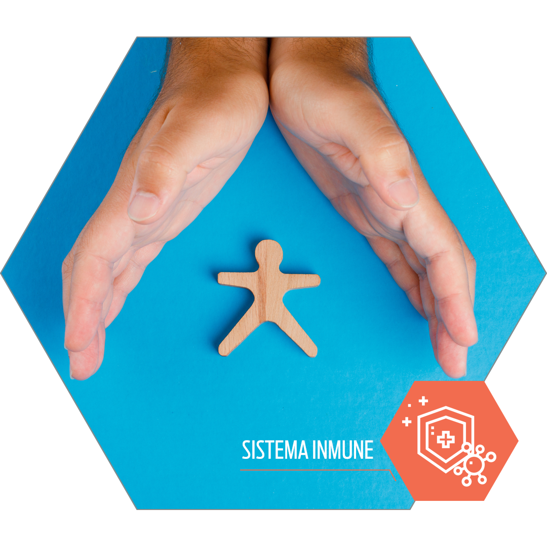 Sistema Inmune